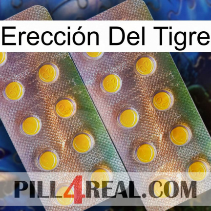 Erección Del Tigre new10